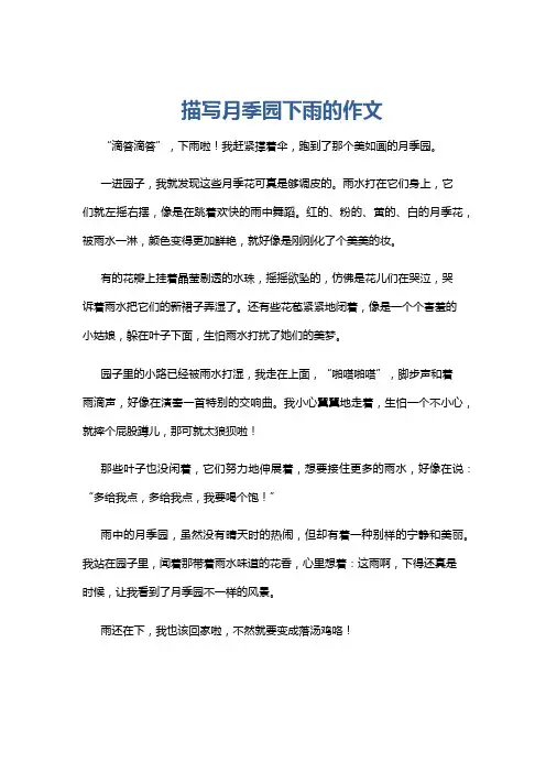 描写月季园下雨的作文