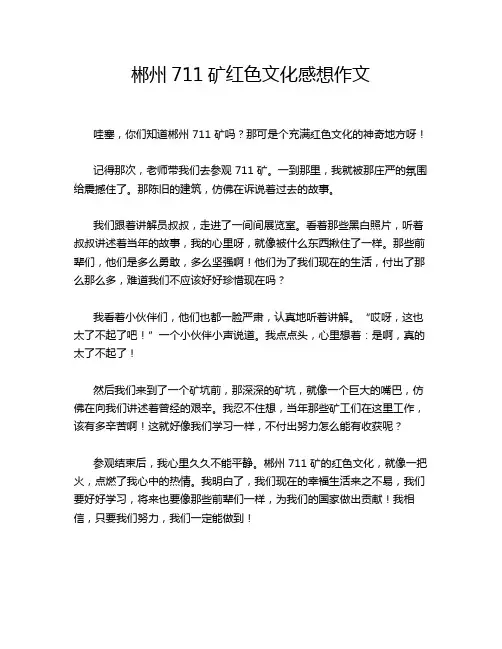 郴州711矿红色文化感想作文