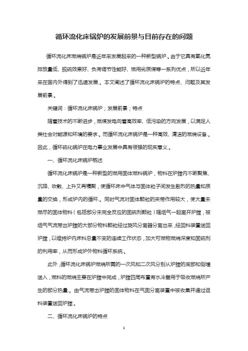 循环流化床锅炉的发展前景与目前存在的问题
