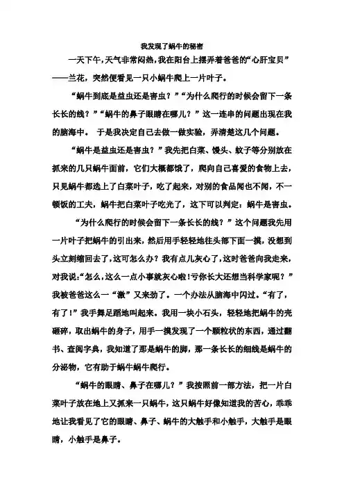 我发现了蜗牛的秘密 2