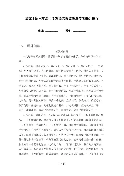 语文S版六年级下学期语文阅读理解专项提升练习