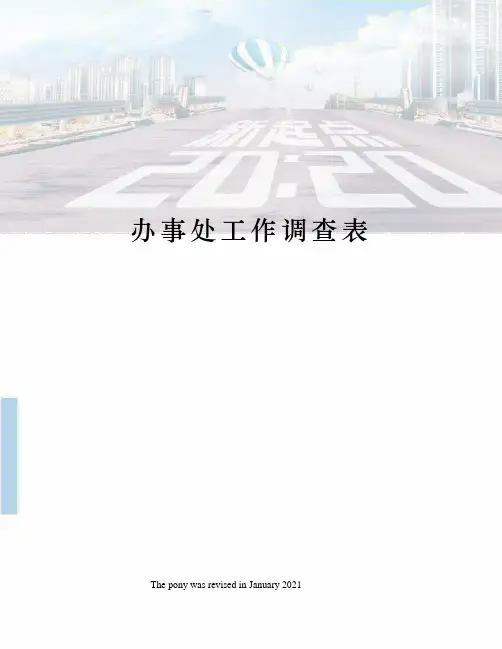 办事处工作调查表