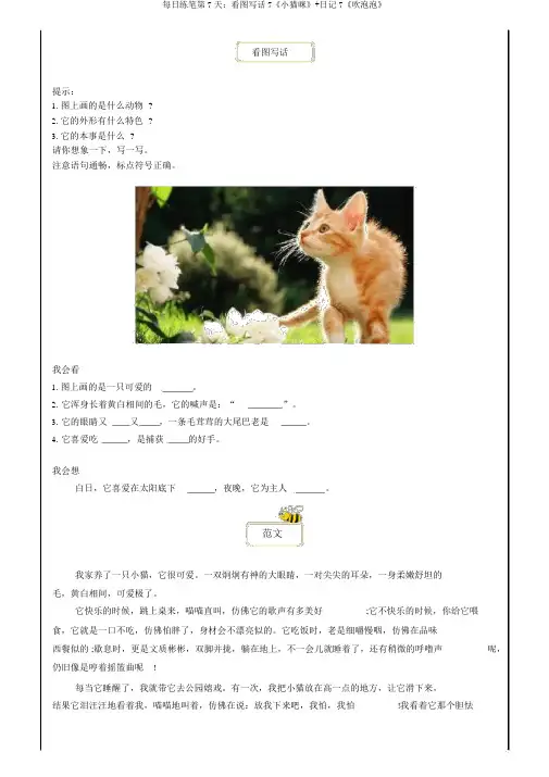 每日练笔第7天：看图写话7《小猫咪》+日记7《吹泡泡》