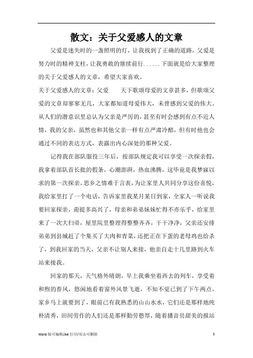 散文：关于父爱感人的文章(精编版)