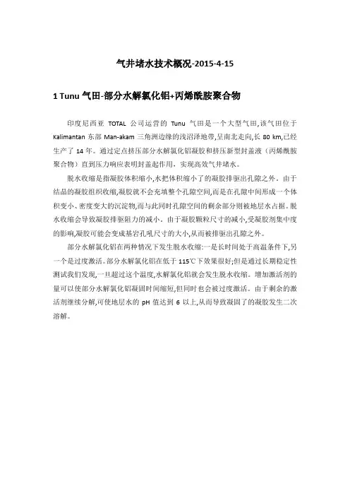 气井堵水技术概况