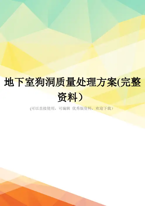 地下室狗洞质量处理方案(完整资料)