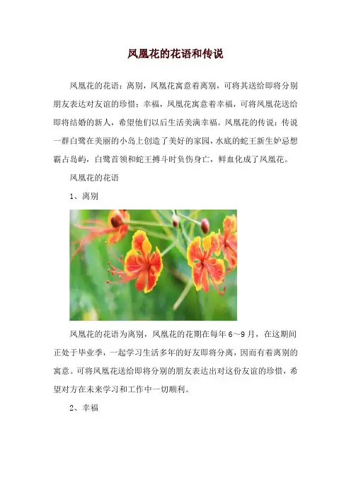 凤凰花的花语和传说