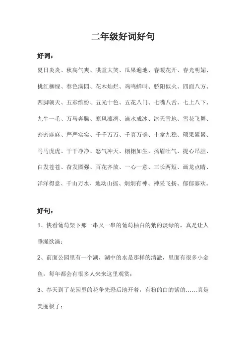 摘抄好词好句二年级下册