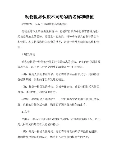 动物世界认识不同动物的名称和特征
