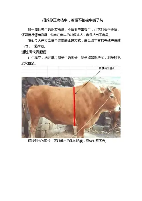 一招教你正确估牛，看懂不怕被牛贩子坑