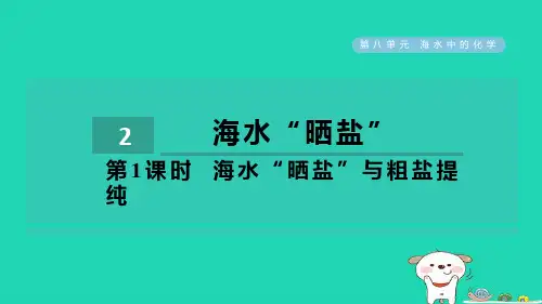 九年级化学下册第8单元海水中的化学8.2海水“晒盐“第1课时海水“晒盐”与粗盐提纯习题课件鲁教版