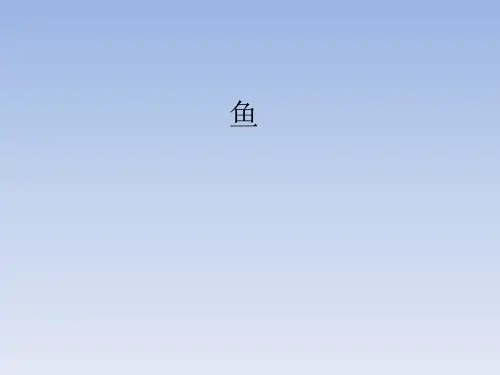 鄂教版小学五年级科学上册：鱼