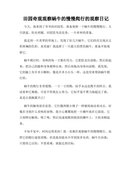 小学三年级作文田园奇观观察蜗牛的慢慢爬行的观察日记