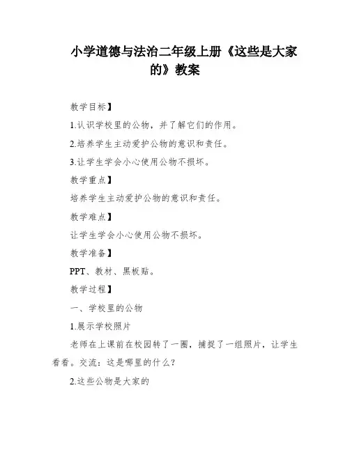 小学道德与法治二年级上册《这些是大家的》教案