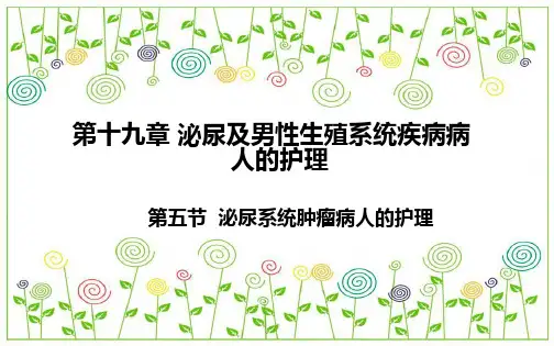 《外科护理》泌尿系统肿瘤病人的护理PPT课件