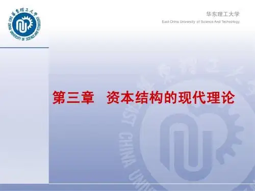 公司金融学-3章(new)