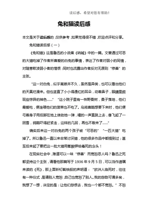 兔和猫读后感