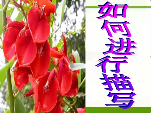 【中考语文】初三九年级作文指导：细节描写1---于细微处见精神