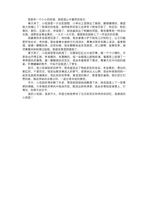 我的小花园
