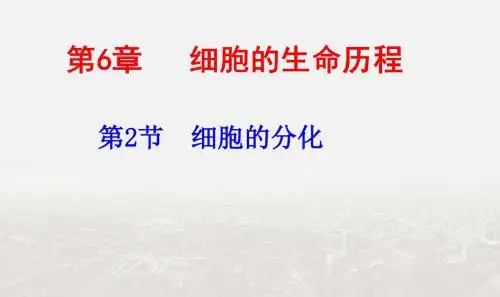 【整合】人教版高中生物必修1 6.2细胞的分化 课件2 (共26张PPT)