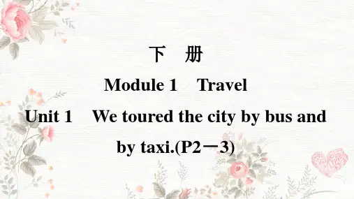 外研版 九年级下册  Module 1 Travel  Unit 1 课件
