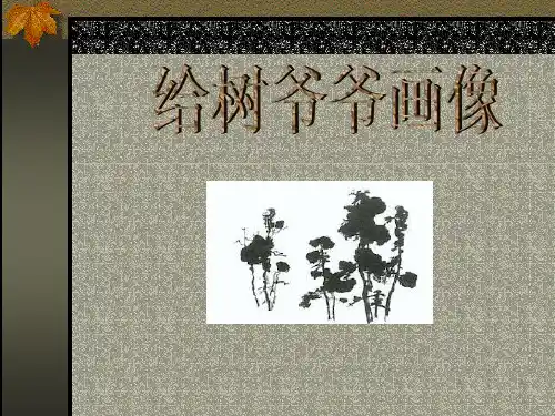 《给树爷爷画像》课件