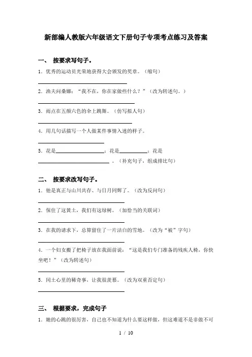 新部编人教版六年级语文下册句子专项考点练习及答案