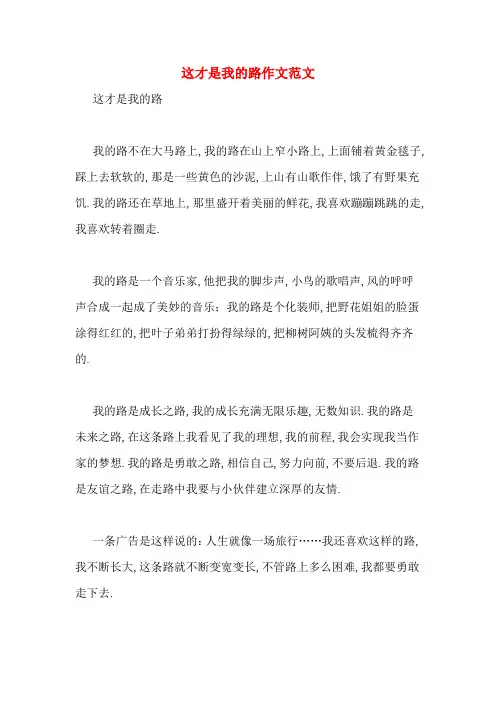 这才是我的路作文范文