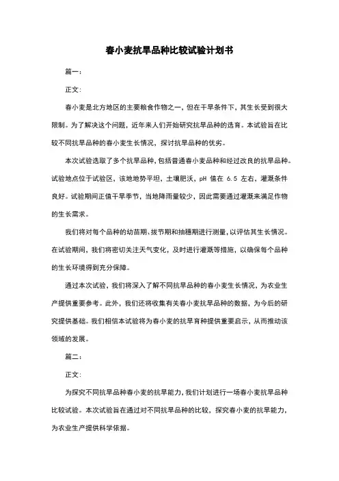 春小麦抗旱品种比较试验计划书