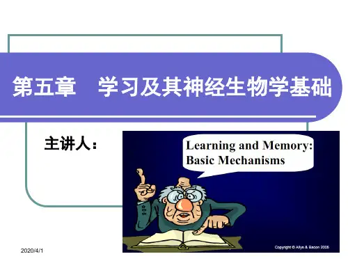生理心理学第五章-学习