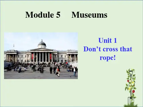 2015秋外研版英语九年级上册M5U1Don't-cross-that-rope!
