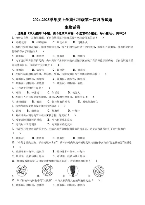 黑龙江省哈尔滨市双城区乐群乡中学2024-2025学年七年级上学期9月月考生物试题(含答案)