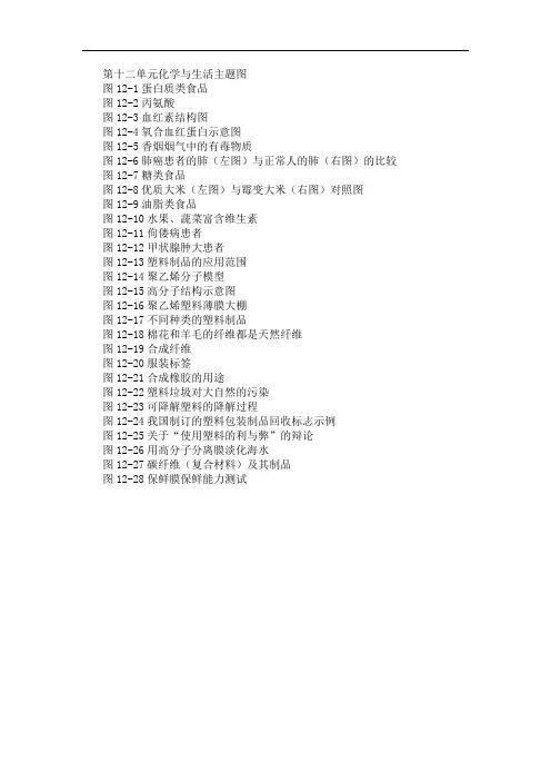 第十二单元化学与生活主题图