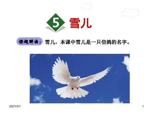 雪儿PPT精品课件