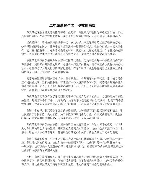 二年级温暖作文：冬夜的温暖