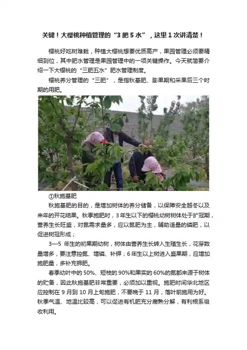 关键！大樱桃种植管理的“3肥5水”，这里1次讲清楚！