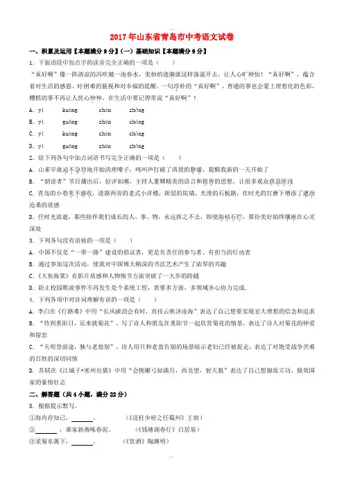 山东省青岛市2017届中考语文真题试题(含详细解析)