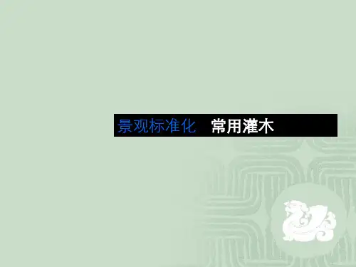 园林绿化常用灌木(图文并茂)