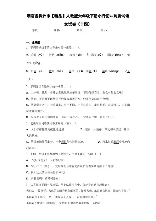 人教版六年级下册小升初冲刺测试语文试卷(十四)(含答案解析)