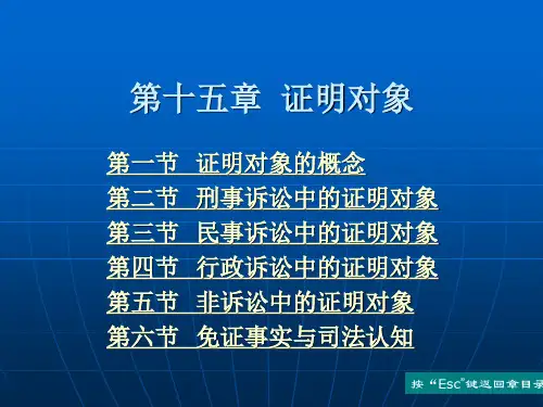 第十五章 证明对象