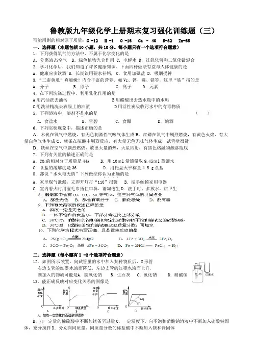 鲁教版九年级化学上册期末复习强化训练题(三)