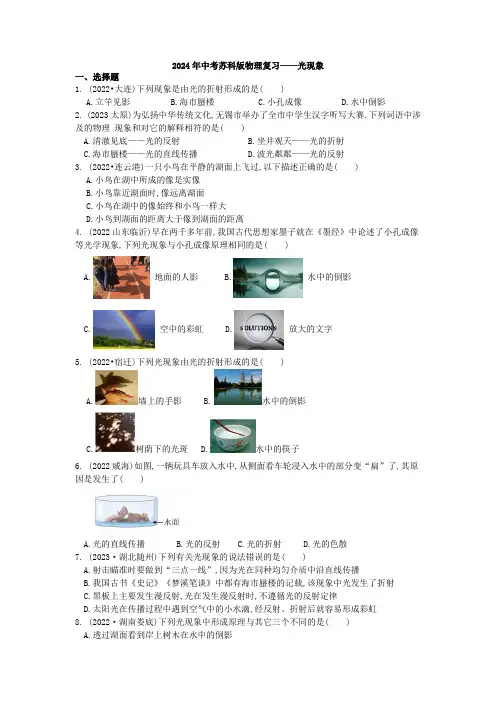 2024年中考苏科版物理复习——光现象