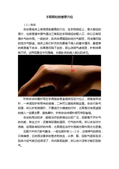 手阳明经的重要穴位