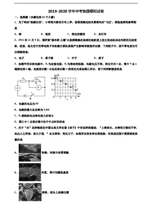 惠州市2021届中考物理综合测试试题