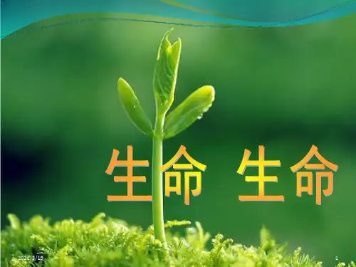19、生命生命概述