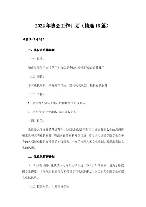 2022年协会工作计划(精选13篇)