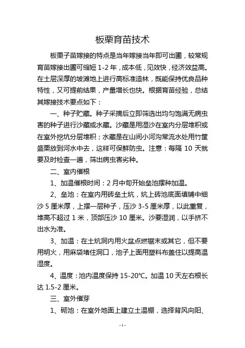 板栗育苗技术