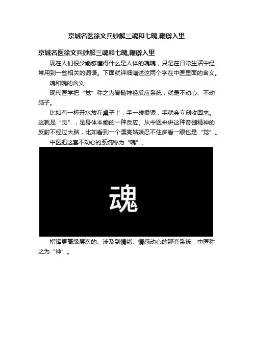 京城名医徐文兵妙解三魂和七魄,鞭辟入里