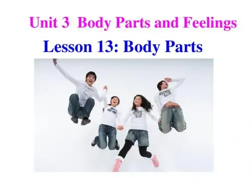 2019冀教版七年级英语上册  Unit 3 Lesson 13 Body Parts (共30张PPT)教育精品.ppt