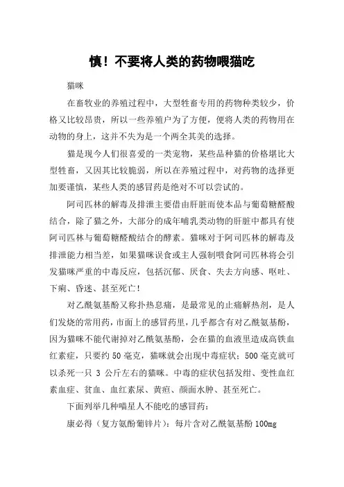 慎!不要将人类的药物喂猫吃